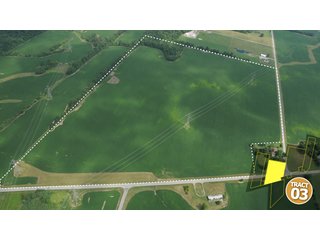Property photo 21 - 470 Acres Mostly Productive Tillable Land - 6 Tracts